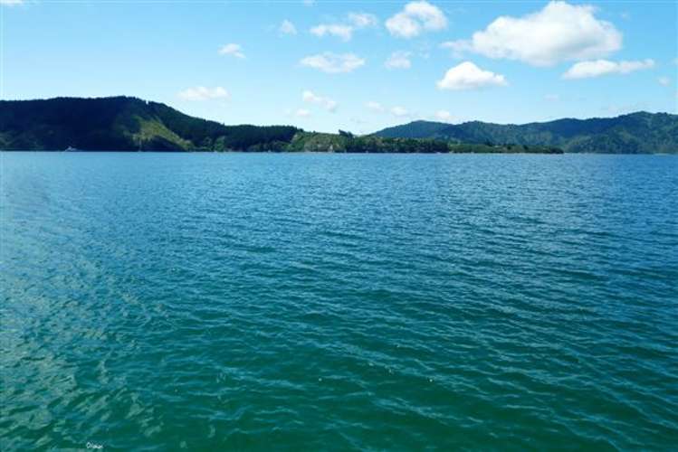 Arthurs Bay Kenepuru Sound_8