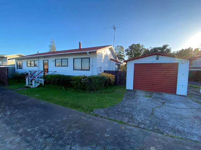 73a Millen Avenue Pakuranga_3