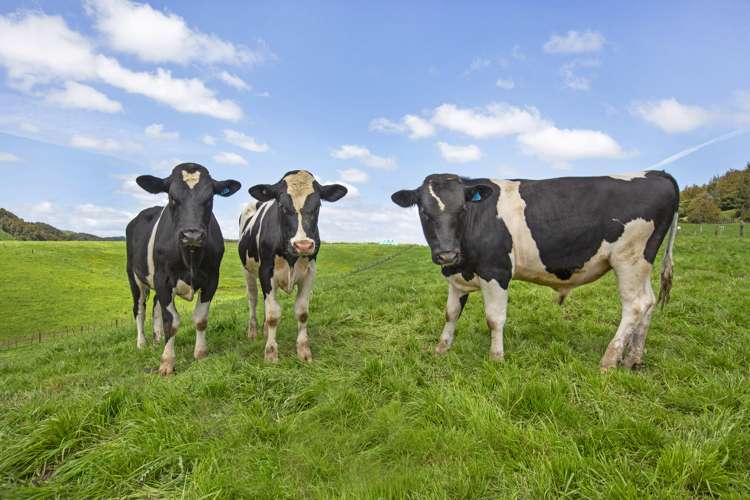 2140 State Highway 4 Aria_9