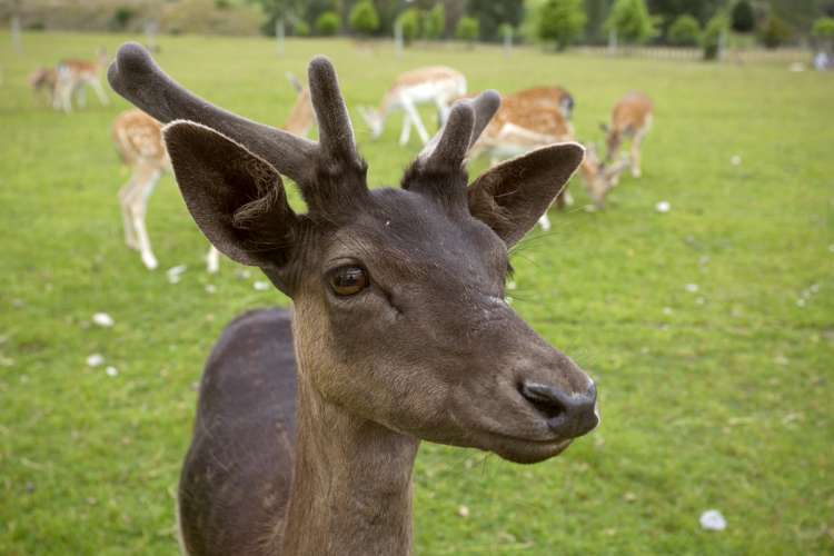 417 Arataki Road Mangakino_22