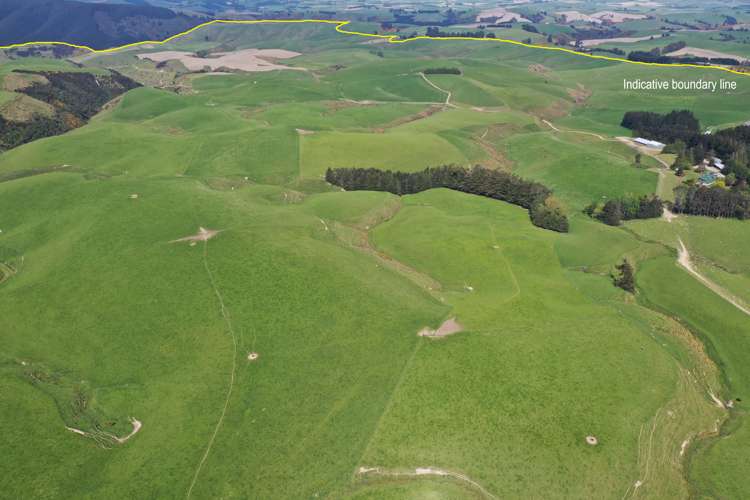 339 Rankleburn Road Pomahaka_6