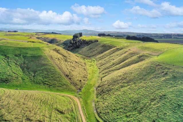 393A Pukeuri-Oamaru Road Pukeuri_2