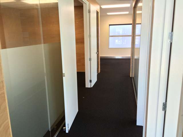 239 Opawa Road Hillsborough_4