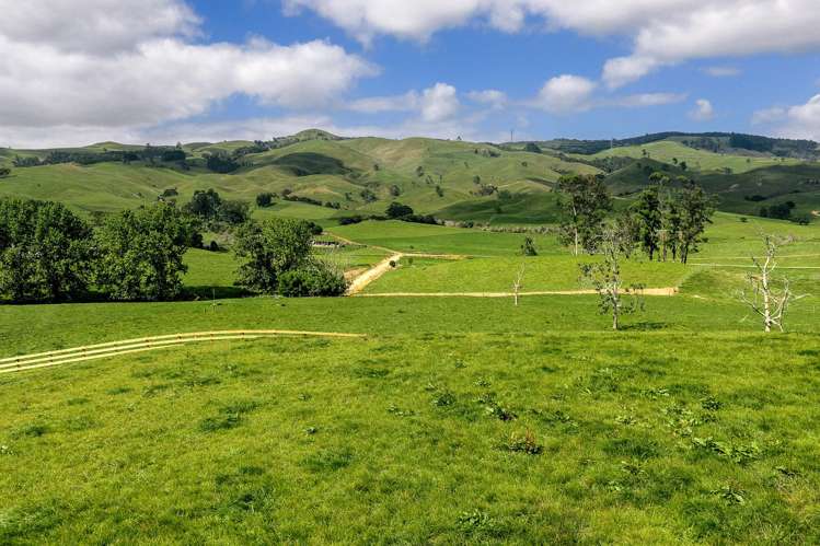 70B Manion Lane Morrinsville_11