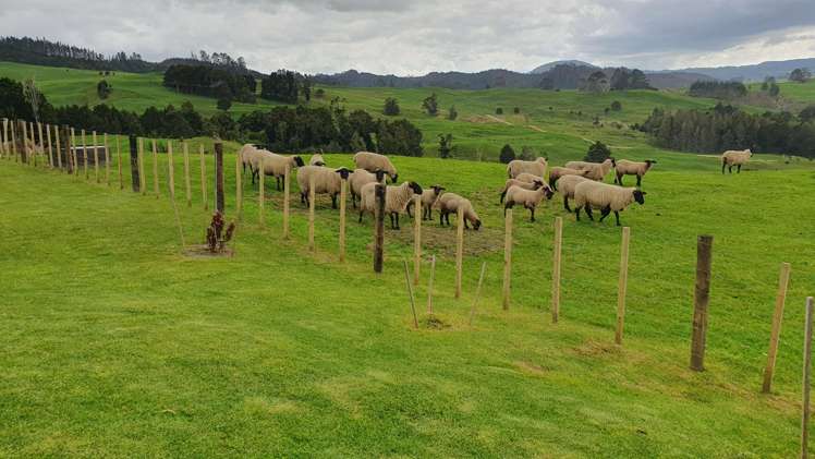 4 Kendall Road Maungakaramea_19