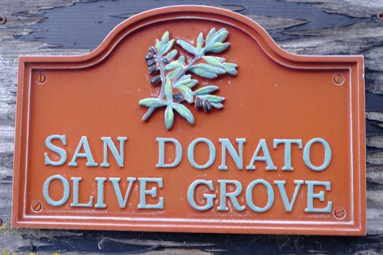 206 Mount Brown Road Amberley_14