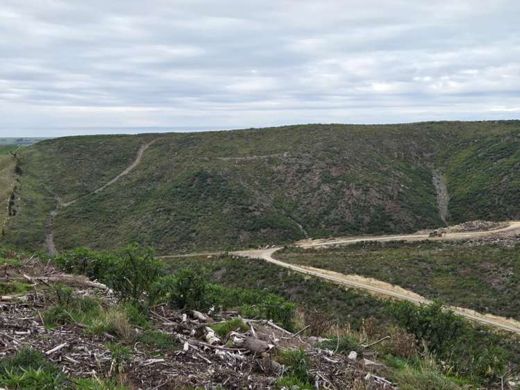 Broad Gully Road Ikawai_8