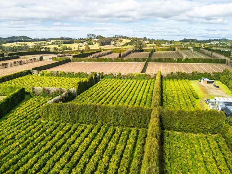 581D Kerikeri Road Kerikeri_14