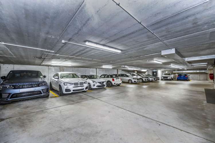 305 Ponsonby Road Ponsonby_8