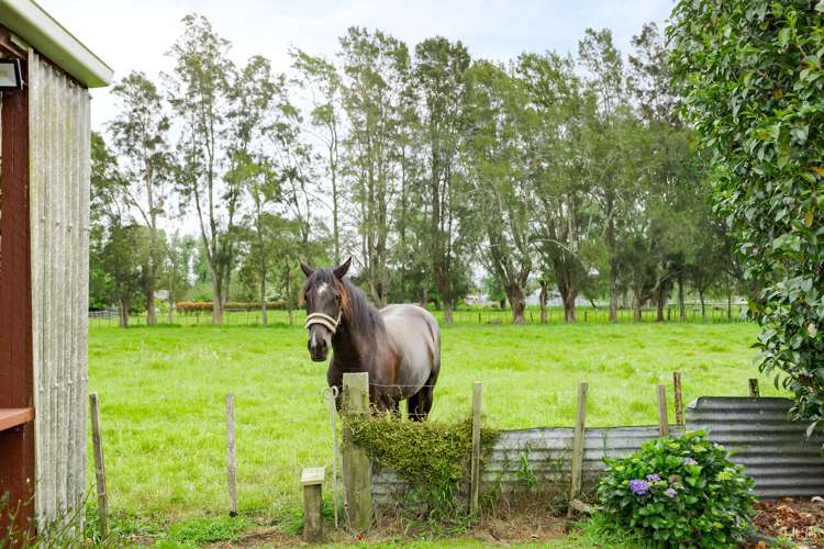 448 Horotiu Road Te Kowhai_16