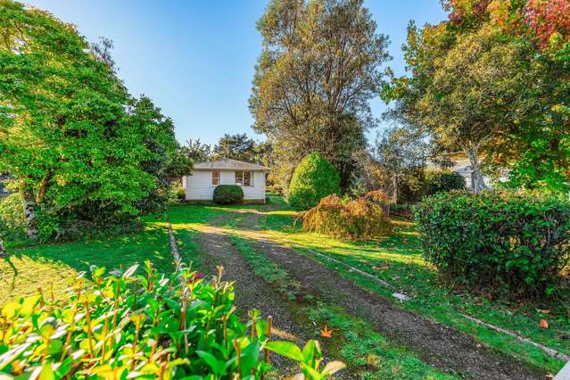 A rare find - close to Tongariro River