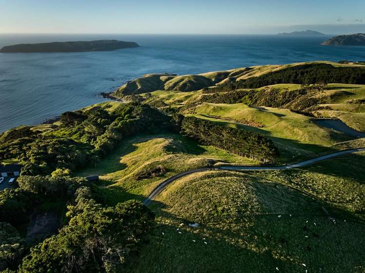 Pikarere Farm Porirua_22