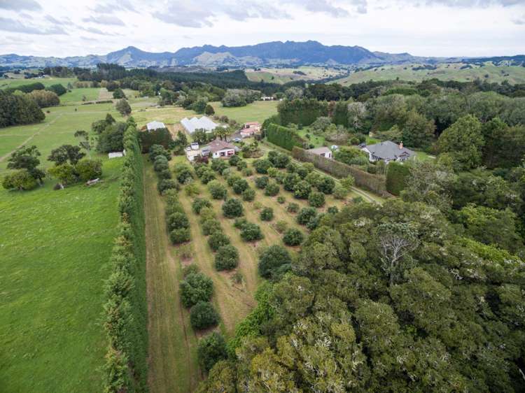 237 Whatitiri Road Maungatapere_24