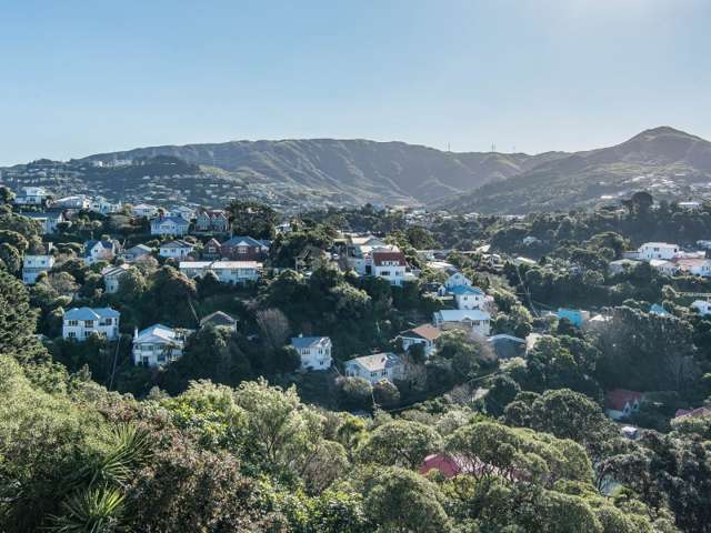 87 Sefton Street Wadestown_3