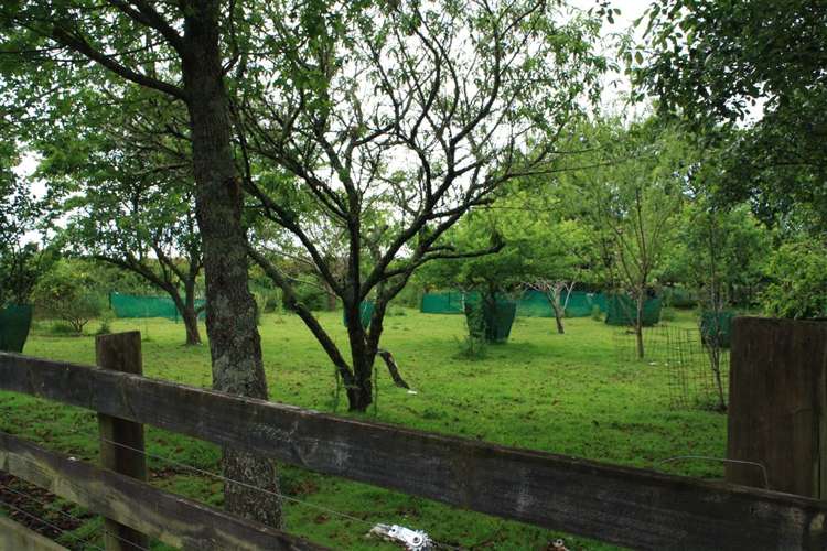 1322 Glenbrook Road Glenbrook_9