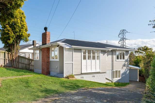 46 Ellis Avenue Mount Roskill_2