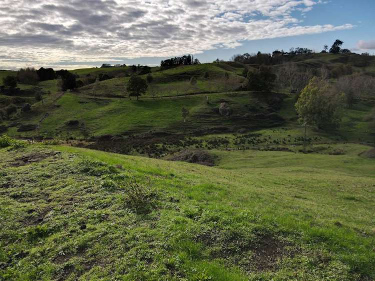 4287 Highway 22 Pepepe_12