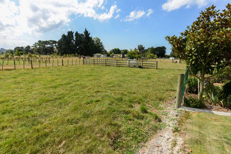 78d White Road Otane_17