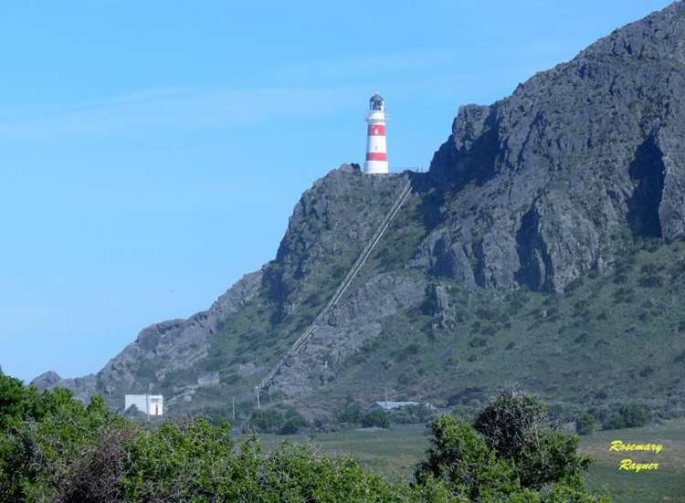 1 Mangatoetoe Grove Cape Palliser_18