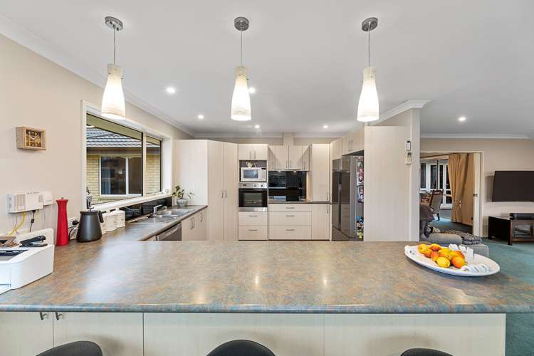 64 Hillcrest Avenue Witherlea_6