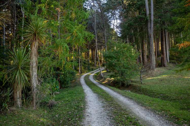 22 Herring Stream Road Motueka Valley_21