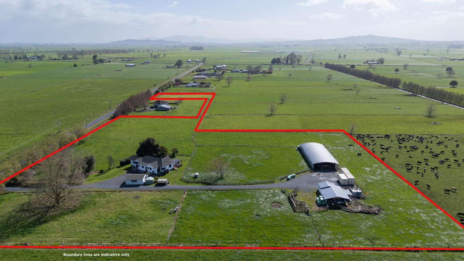 284 Shewan Road Gordonton_0