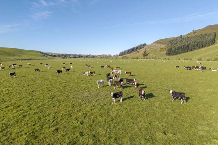 10 Riversleigh Road Glentunnel_4