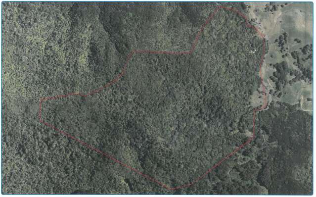 294 Munn Road Kaitaia_1