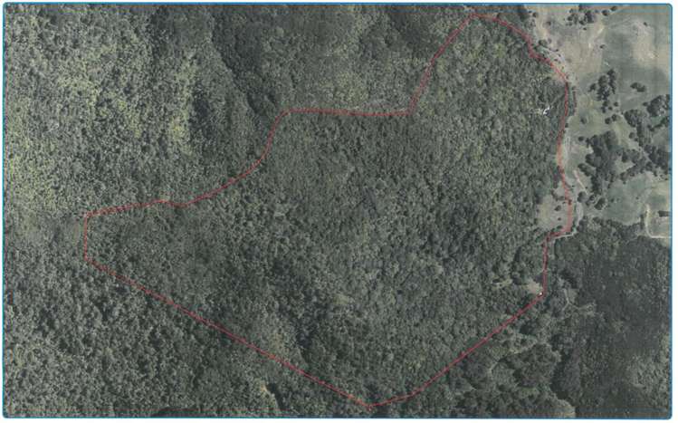 294 Munn Road Kaitaia_1