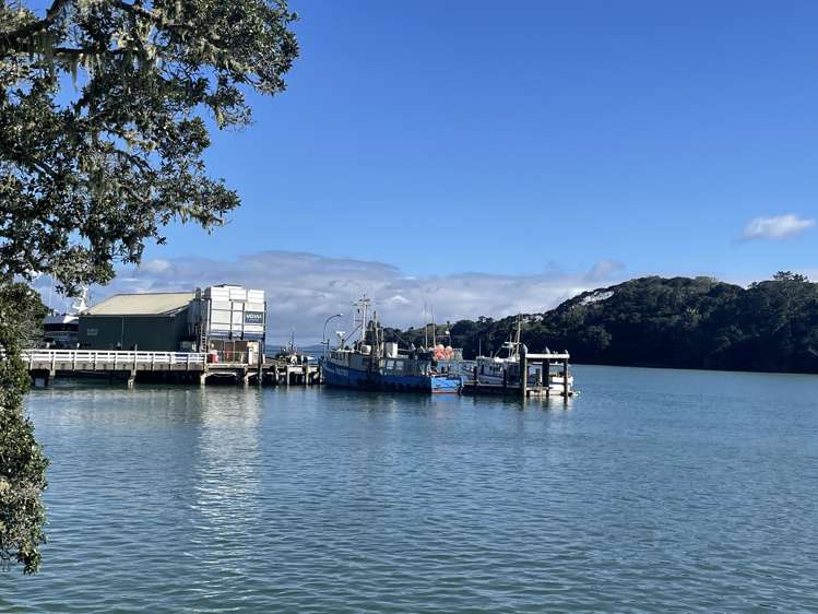 18 Grey Street East Mangonui_36