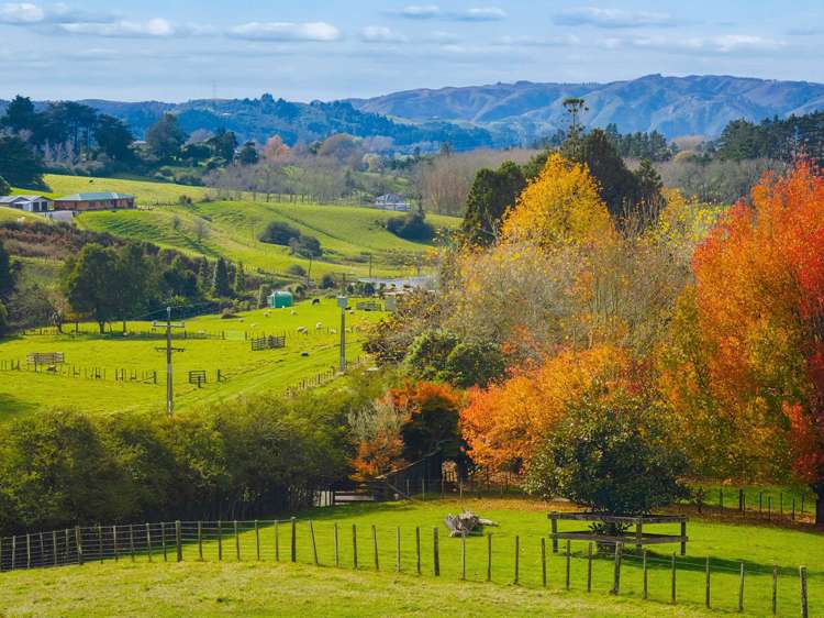 1984 Hunua Road Hunua_3