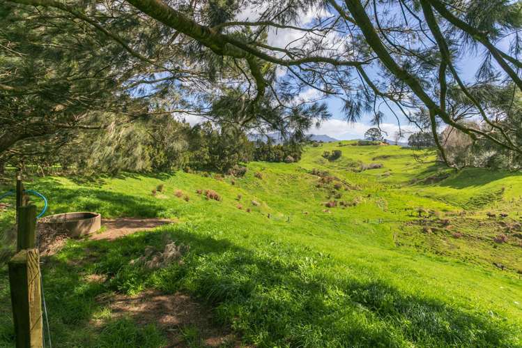 231 Walford Road Aongatete_44