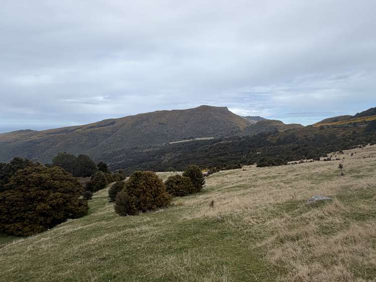 490 Long Bay Road Akaroa_36