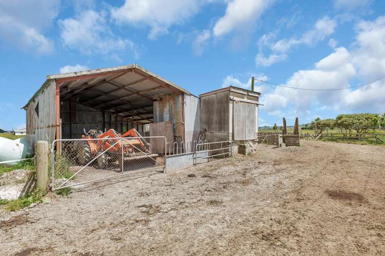 530 Tramline Road Ruawai_9