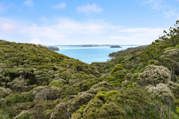 Lot 7 Smelting House Bay Kawau Island_12