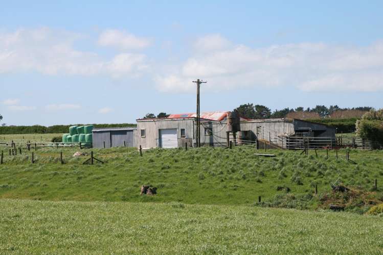 520 Lower Duthie Road Matapu_18
