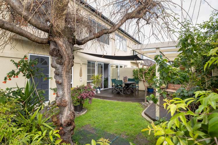 102 Southampton Street West Hastings_15