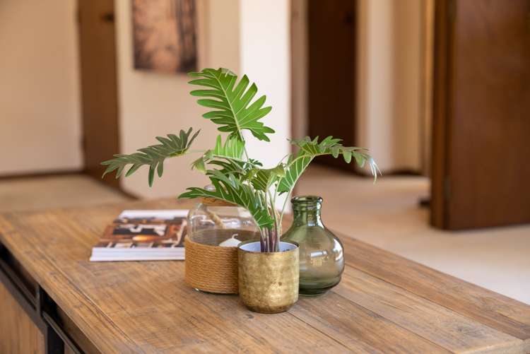 3b Sutherland Avenue Mount Maunganui_13