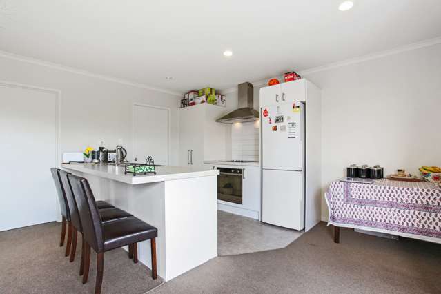 51 Farnborough Way Rolleston_1