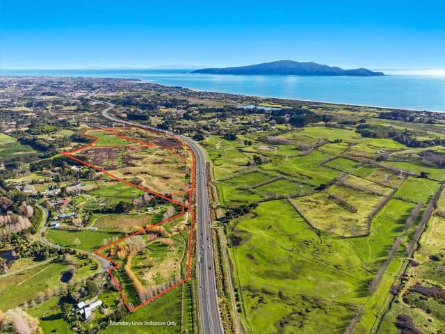 Coastal Kapiti scale and potential