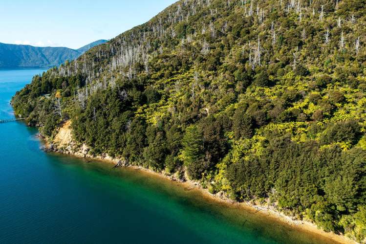 Lot 2 North West Bay Pelorus Sound_17