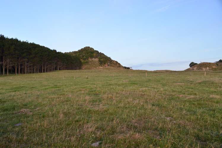 State Highway 3 Mokau_19