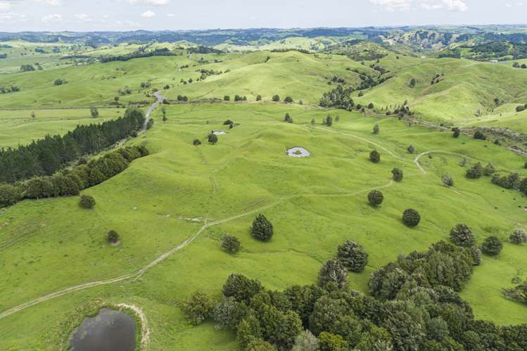 282 Taipuha Station Road Otamatea Surrounds_19