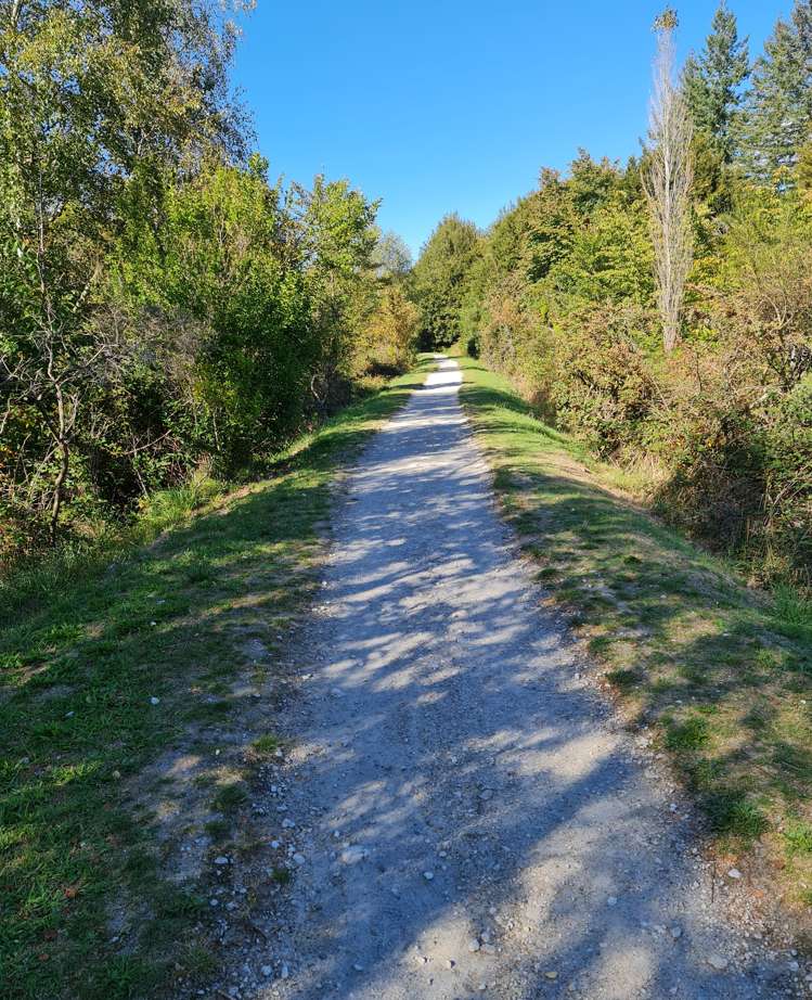 31 Taupahi Road Turangi_21