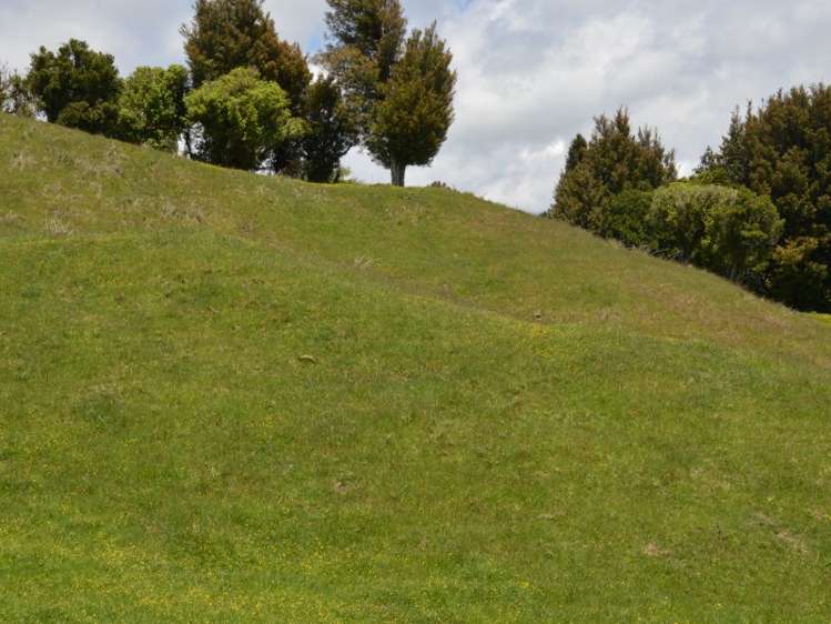 1630 Aotearoa Road Wharepapa South_4