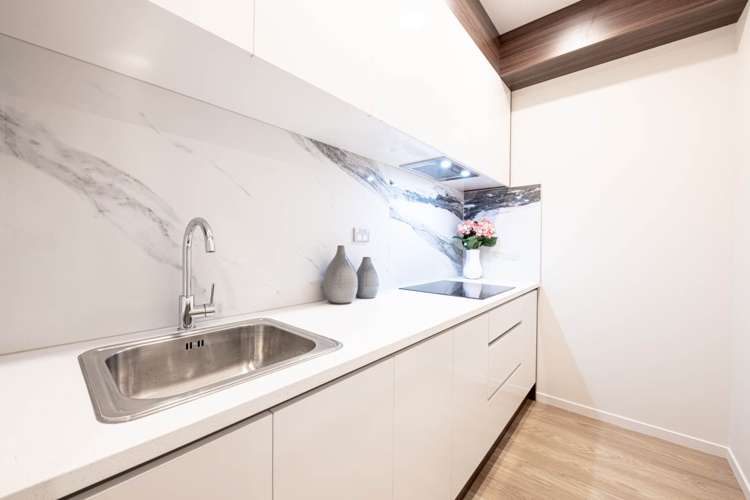 36 Carrygawley Road Flat Bush_19