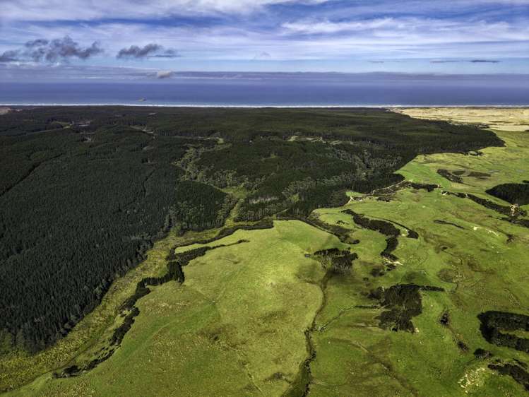 State Highway 1, Waitiki Landing Te Kao_12