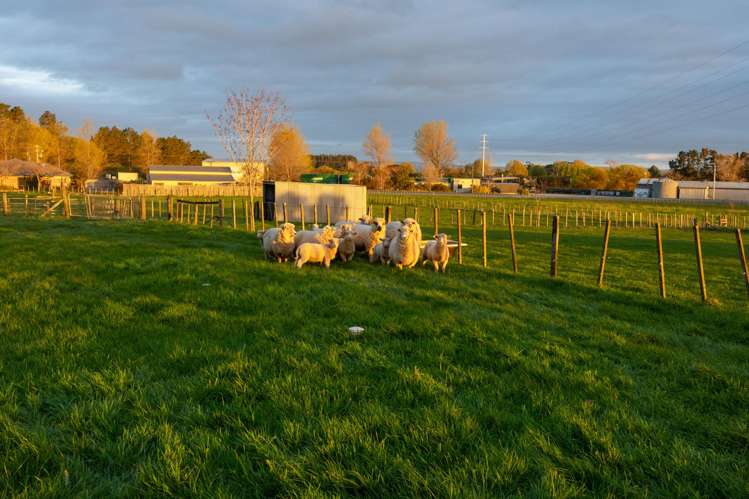 1 Satori Way Feilding_23