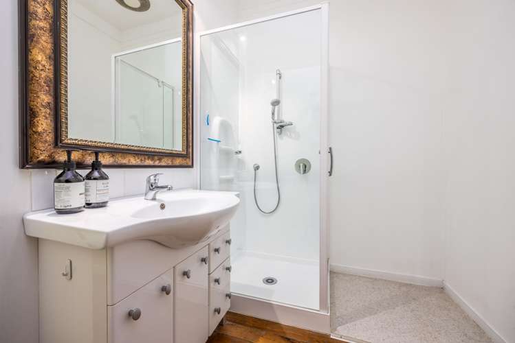 294 Manukau Road Epsom_6