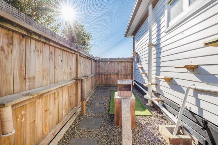 2 Avon Terrace Roslyn_22